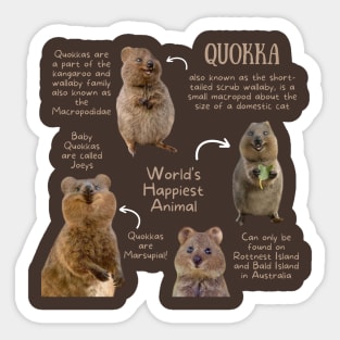 Animal Facts - Quokka Sticker